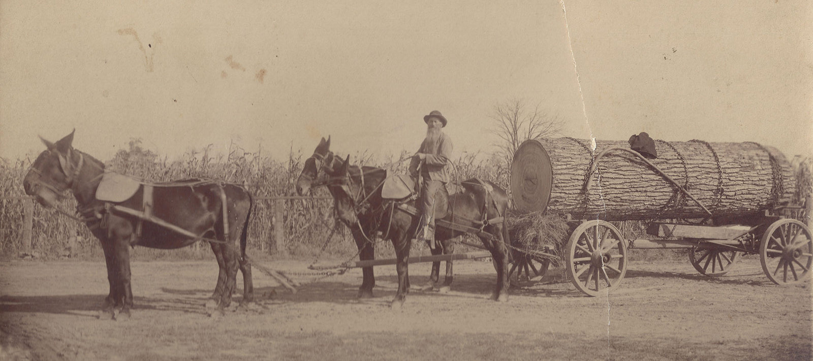 Shoporiaz Millworks - It's In Our Blood.