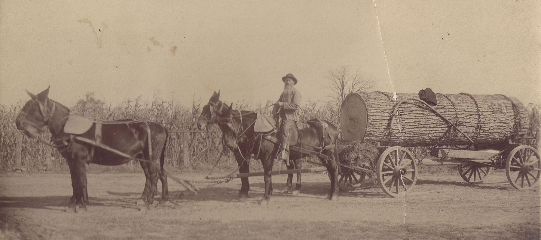 Shoporiaz Millworks - It's In Our Blood.