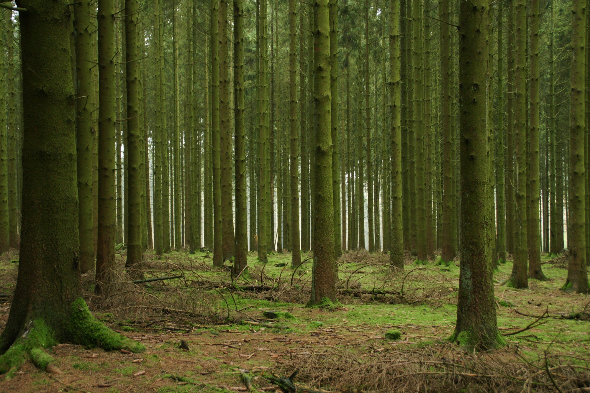 When he has a LOADED GUN and I don't...