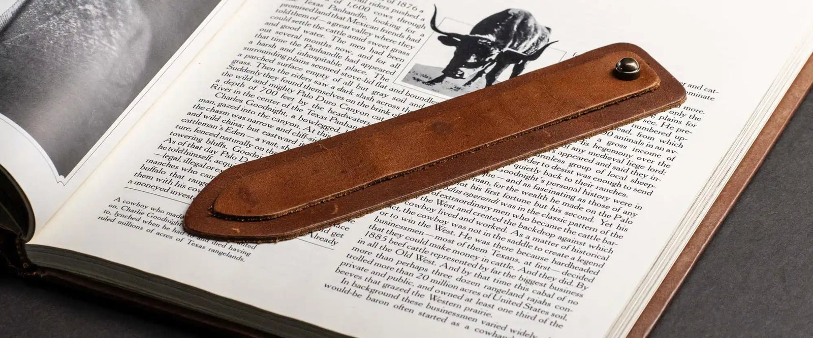 Bookmarks 2025 - Shoporiaz