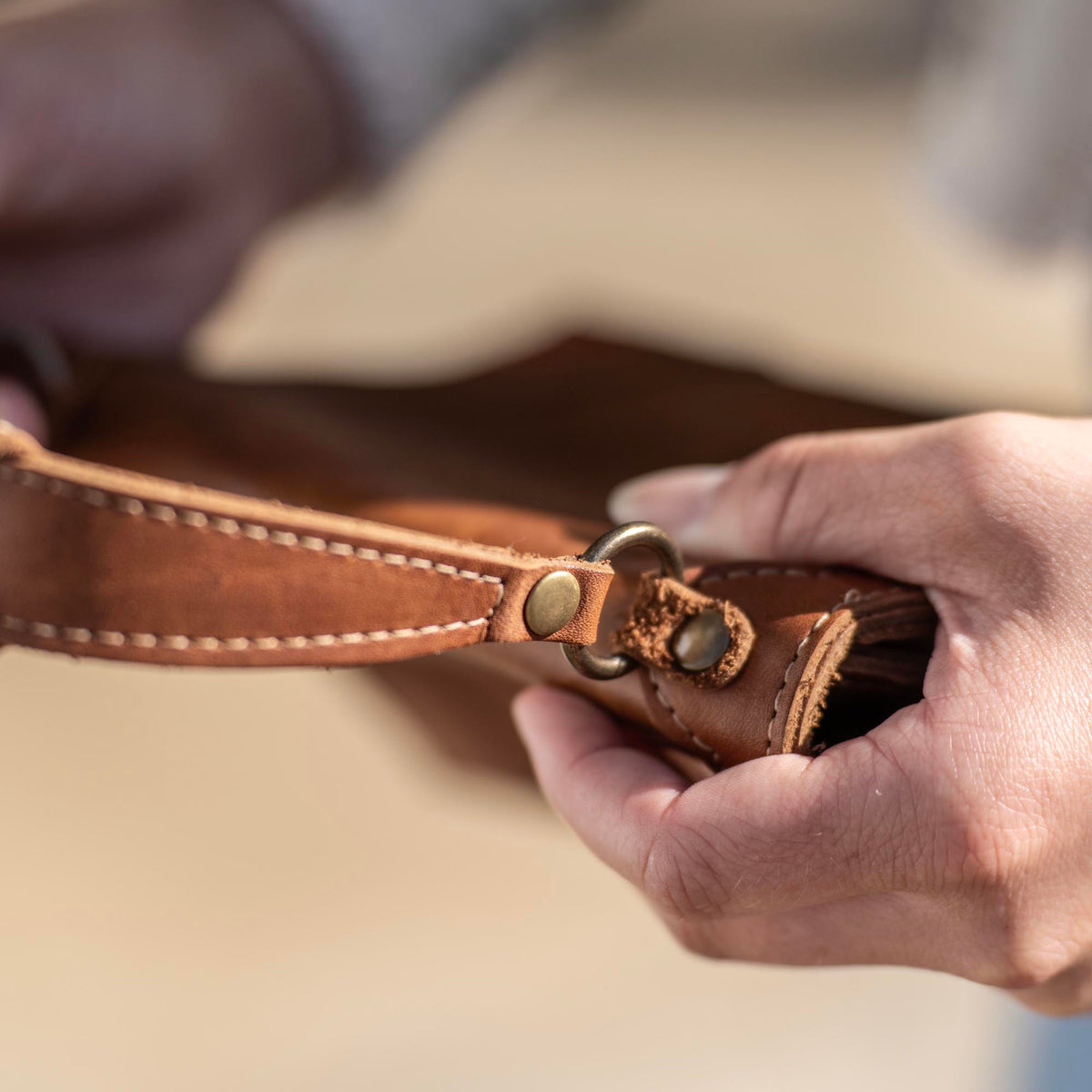 The Aly Fine Leather Women's Petite Purse