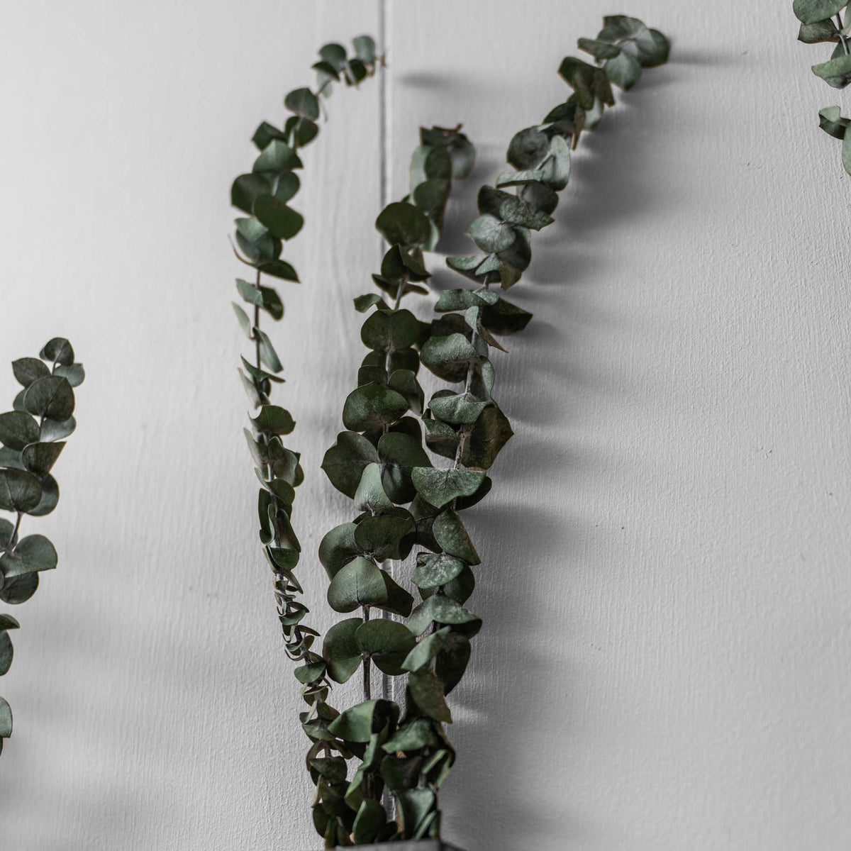 Slim 12 Inch Wood Wall Planter Sconce Vase with Pocket & Eucalyptus