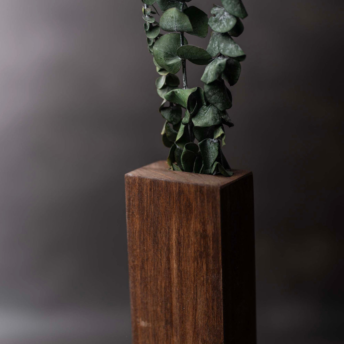 Slim 12 Inch Wood Wall Planter Sconce Vase with Pocket & Eucalyptus