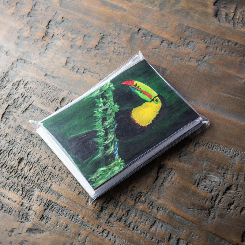 Toucan Stationery Set Of 4 By Madison Holtz Butler