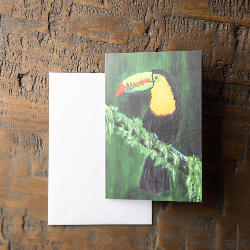 Toucan Stationery Set Of 4 By Madison Holtz Butler