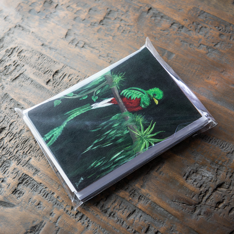 Tropical Bird Stationery Set Of 4 By Madison Holtz Butler