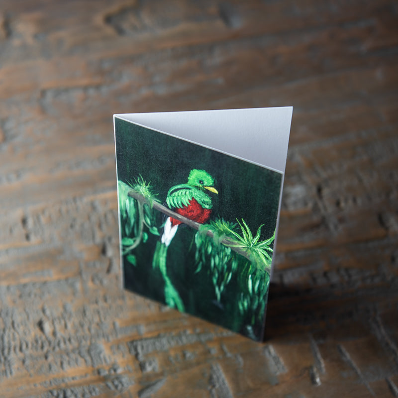 Tropical Bird Stationery Set Of 4 By Madison Holtz Butler