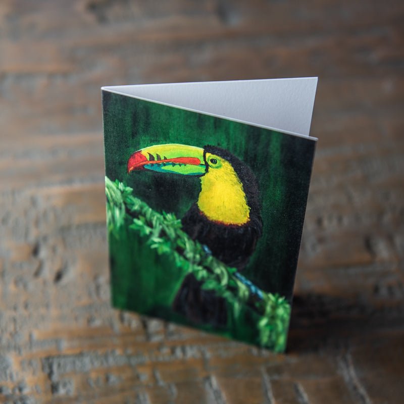 Toucan Stationery Set Of 4 By Madison Holtz Butler - Shoporiaz
